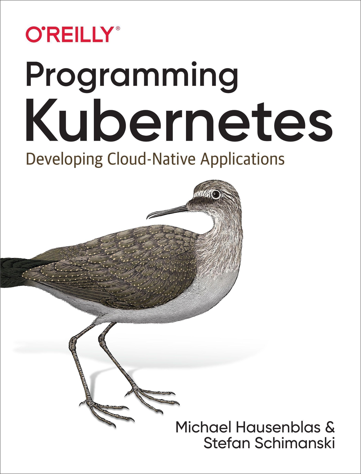 Thumbnail - Michael Hausenblas (u. A.) | Programming Kubernetes | Taschenbuch |