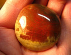 60g PETRIFIED WOOD PALMSTONE MADAGASCAR POLISHED RED/BROWN/TAN/WHITE #201 — photo 1