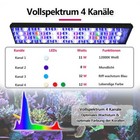 Bild 7 von 12