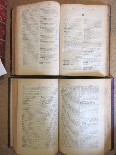 Abinal & Malzac 2 Wörterbücher 1899 Madagaskar Französisch, Malagasy + - Bild 3 von 7