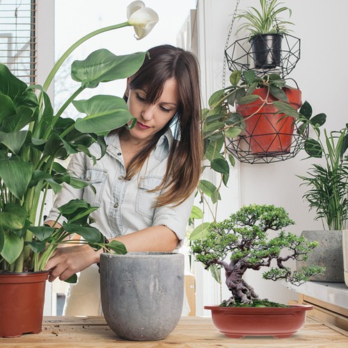 2 PCS Thickened Flower Pot Office Indoor Plastic Pots Bonsai Planter - Bild 7 von 12