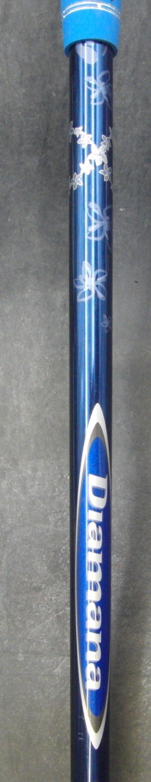Picture 5 of 6