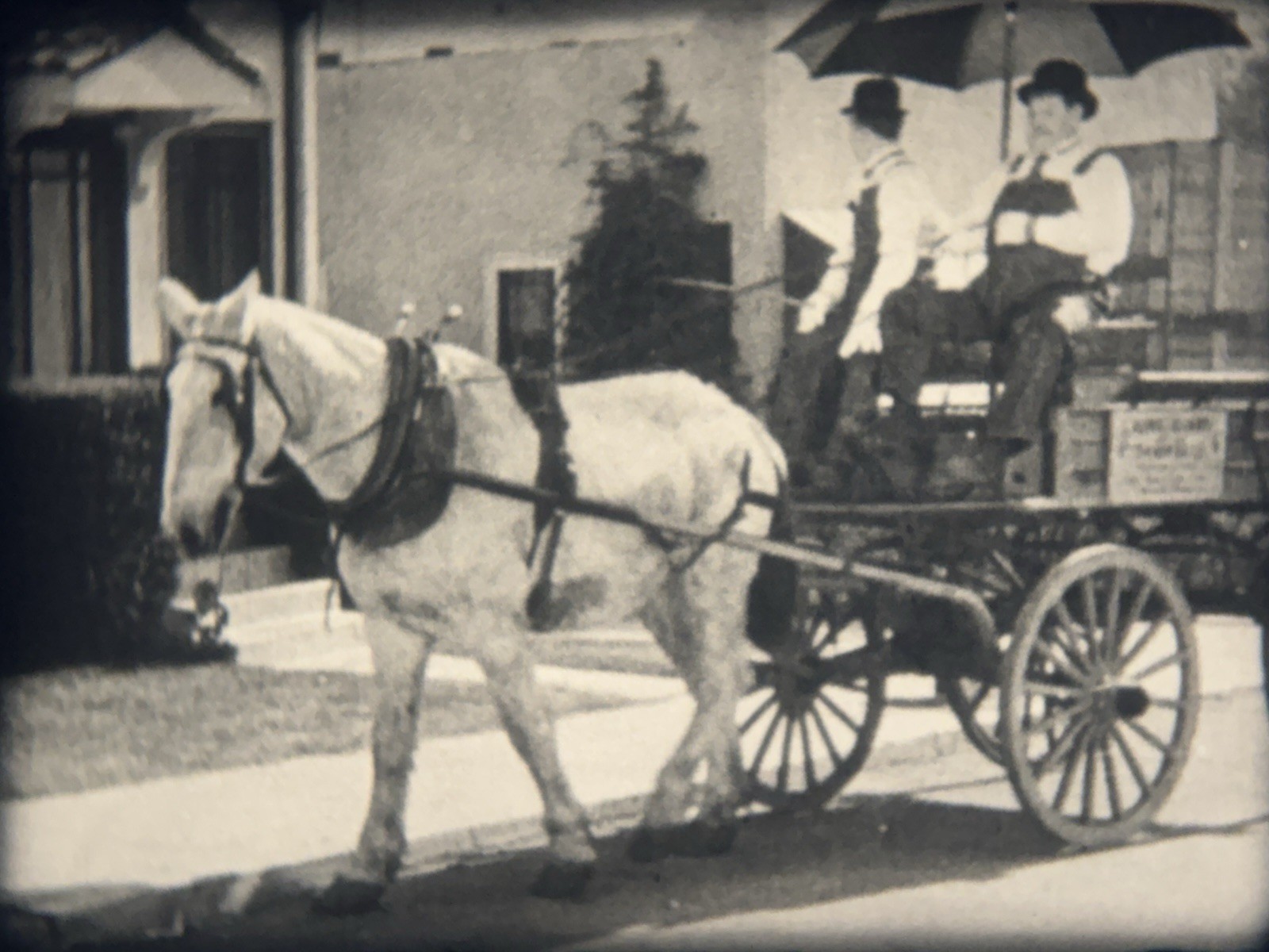 Picture 6 of 24