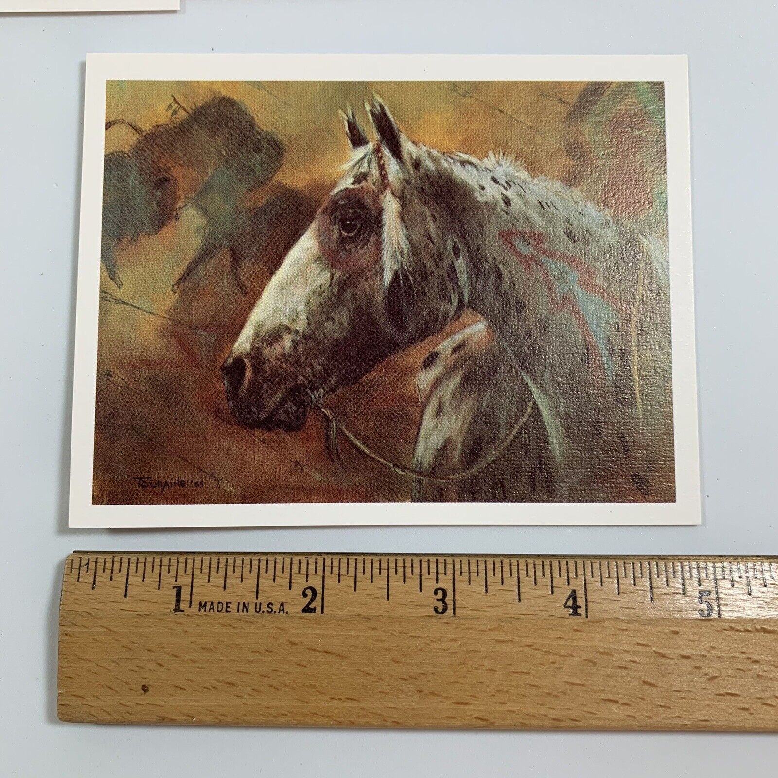 Picture 7 of 15