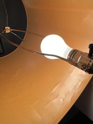 Vintage MCM Cholla Cactus Lamp Base w/ Shade w/ Accurate Casting Base & Hardware - Picture 7 of 22