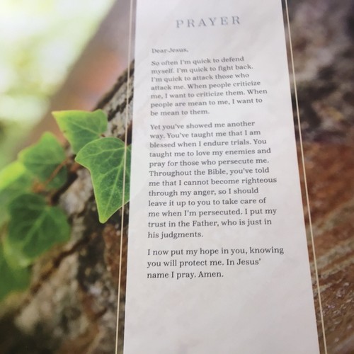 Journey With Jesus Religion by Rick Warren. The Stations Of The Cross Explained - Picture 21 of 24