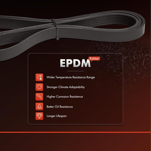 55.55 inch Supercharger Serpentine Belt for Jaguar XF XJ F-Type XFR XJR XK XKR-S - Picture 4 of 10