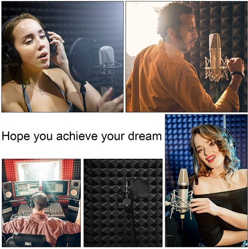 6 PCS Pyramid Studio Acoustic Foam Panels Sound Insulation Treatment with Tapes - Picture 8 of 11