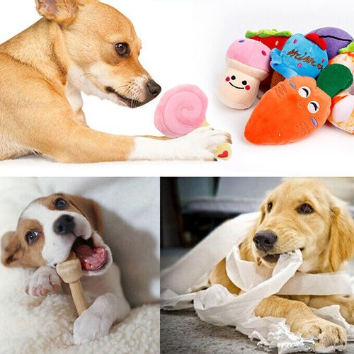16Pcs Assorted Dog Puppy Pet Toys Plush Chew Squeaky Training Play Bundle Set - Picture 9 of 9
