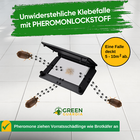 Bild 21 von 41