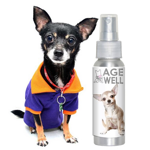 Chihuahua Age Well Aromatherapy | Supports Your Aging Chihuahua Mentally - Picture 6 of 12