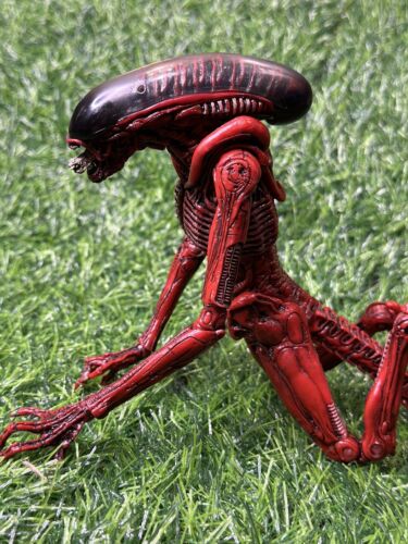 NECA ALIENS GENOCIDE Red Dog Xenomorph 9” Toys R Us Exclusive - RARE - Picture 7 of 11