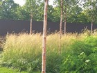 Bild 2 von 4