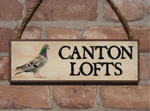 Handgefertigtes Bestellschild Taube Loftschild Eigenname Schild Taubenschild Eigenfotoschild - Bild 5 von 16