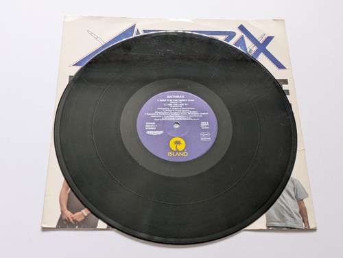 Anthrax Bring The Noise 12" Vinyl Single Island Records 1991 - Picture 8 of 10
