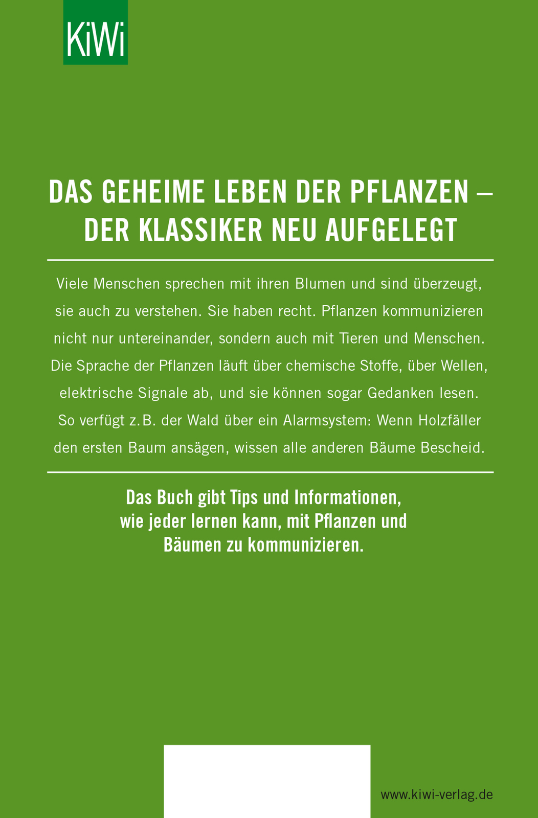 Thumbnail - Der Ruf Der Rose Dagny Kerner