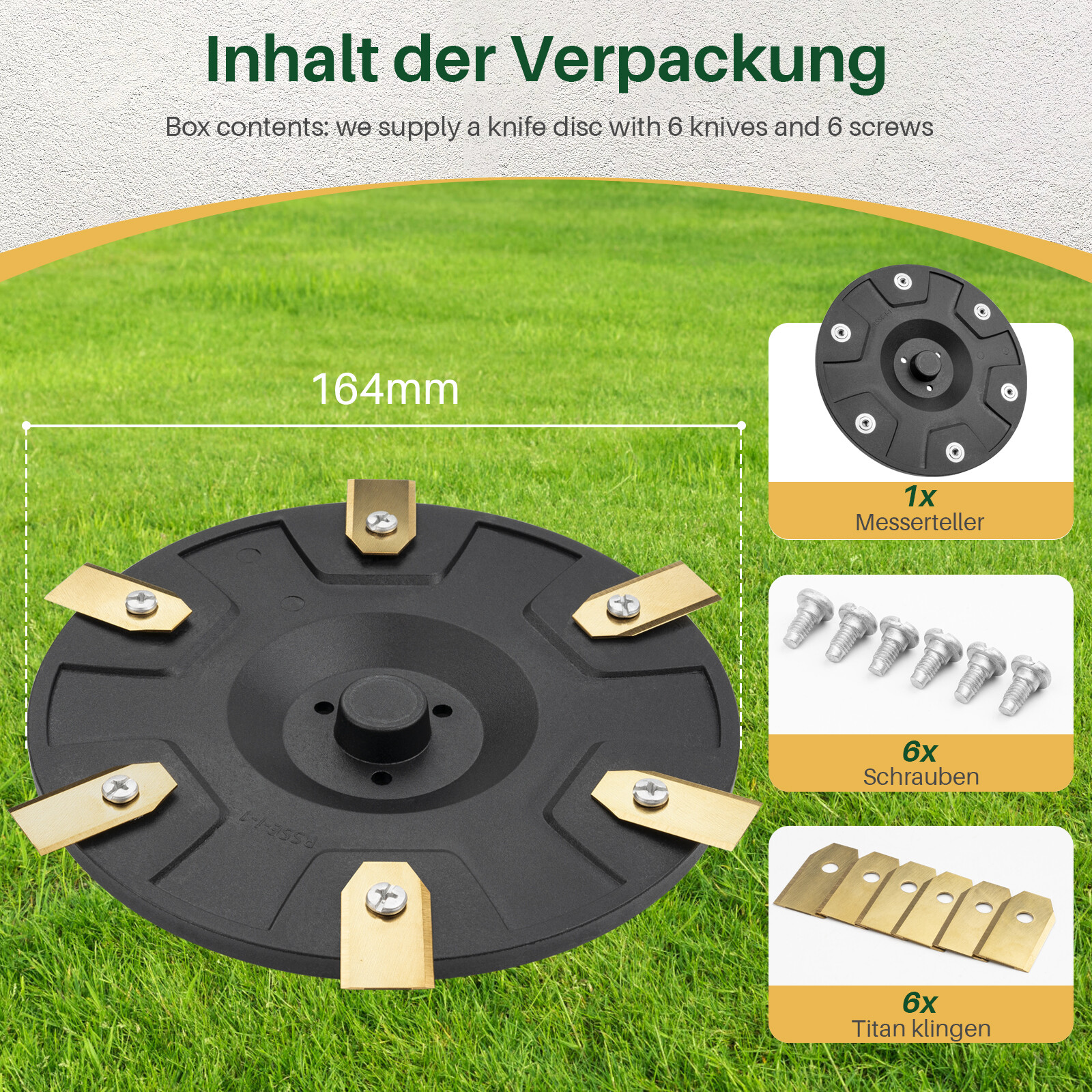 Bild 3 von 10