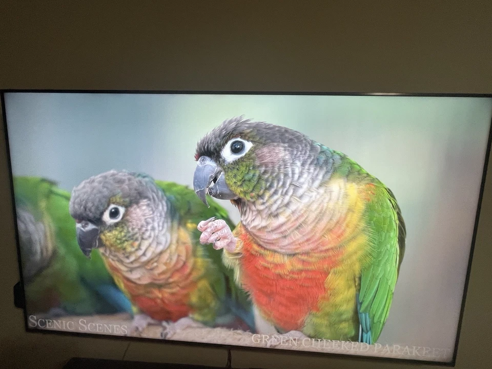 Sony XBR65X900F 65" 2160p 4K HDR UHD LED Smart TV- in excellent condition!  - Image 4 of 4