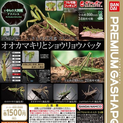 BANDAI Ikimono Daizukan Gashapon Mantis Heuschrecke Figur alle 4 Typen Set O2908