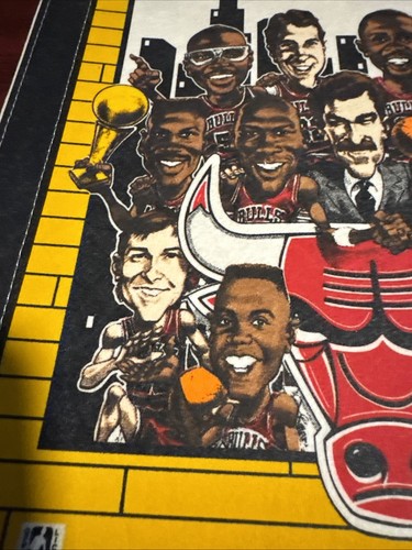 COOLER Chicago Bulls '91-'92 Back To Back Champions Wimpel, Michael Jordan, SCHÖN! - Bild 4 von 8