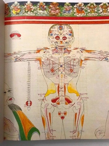 Атлас Тибетской Медицины- Голубой Берилл TIBET Medicine ATLAS Blue Beryl RUSSIAN - Picture 6 of 12