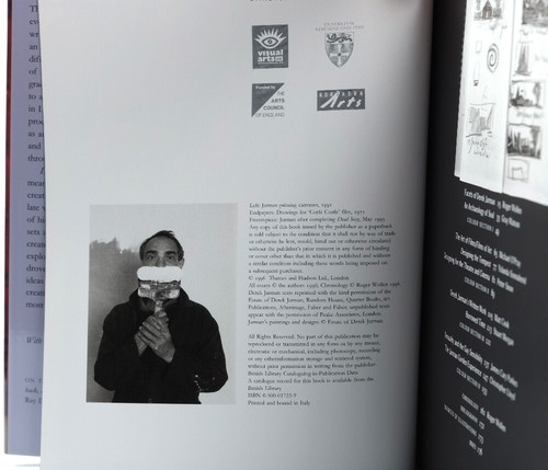 Derek Jarman: A Portrait - Artist, Film-maker, Designer by Christopher Lloyd,  - Picture 2 of 6