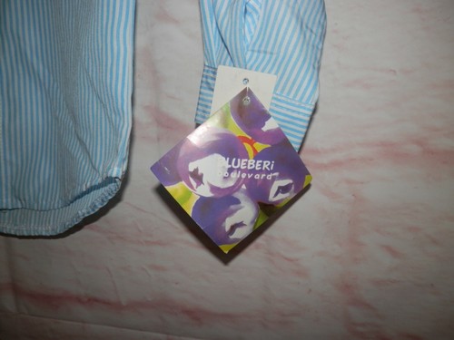 NEW Blueberi Boulevard Boys 4T Button Down Striped Holiday Dress Shirt NWT 3601 - Picture 4 of 6