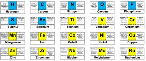 set of 118 colored PERIODIC TABLE LABELS including mercury ...