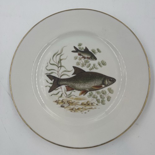 Vintage J.K.W WEST GERMANY Fish Plates 10.25” Porcelain Gold Rim - Picture 1 of 3