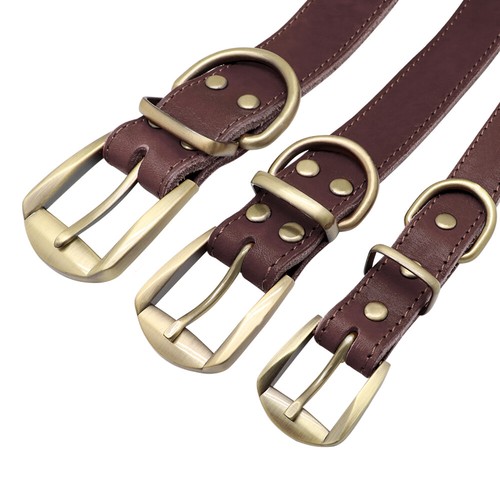 Personalisiertes Leder Hundehalsband Mit Gravur Namen Hunde Halsband Braun Rot - Picture 6 of 18