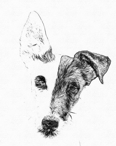 Portrait d'animal personnalisé à partir d'un crayon photo dessin croquis convertir une image canine à l'art - Photo 3 sur 8