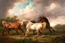 Three Horses classical Oil painting Wall art HD Giclee Printed on Canvas P373