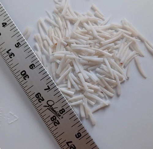 Perlen Miyuki Würfel, Dentalium Muscheln, hellbraun, kostenloser Versand - Bild 6 von 8