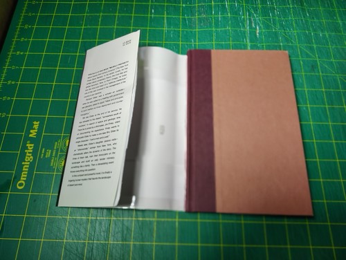 Point Omega Don DeLillo Scribner 2010 1st Printing Like New HC w/ DJ - Foto 6 di 10