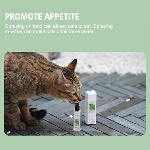 Herbal Cat Joy Silvervine Spray,Pet Catnip Spray For Indoor Calming Spray♤ F9P3 - Picture 6 of 12