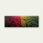 Panoramic Abstract Leaf Design Canvas Print Wall Art Home Decor