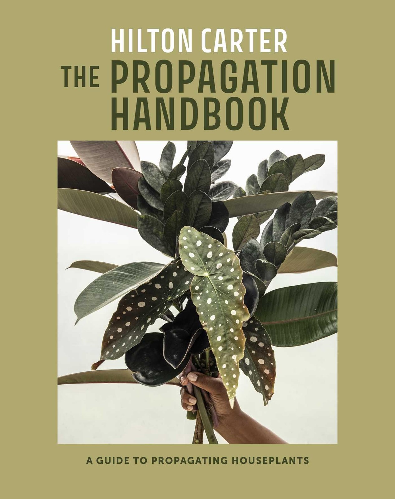 The Propagation Handbook: A guide to propagating houseplants by Carter New^*