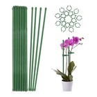 New ListingPlant Stakes,Green Plant Sticks Support,Fiberglass Garden Plant Support Stake.