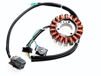 Lichtmaschine Stator ACCESS 3.20 4.30 Xtreme 300 und TRITON Baja / Outback