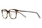 Safilo Brown Plastic Eyeglass Frames