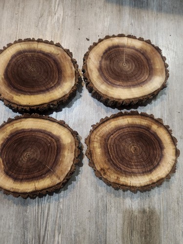 Black walnut Live Edge, wood slice, centerpiece-7x9x1 1/1 - Picture 3 of 4