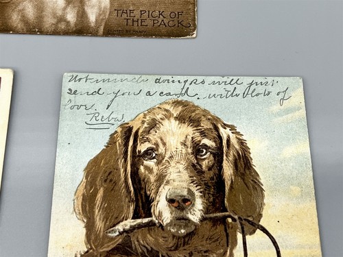 ThriftCHI ~ Lot of 7 Vintage Postcards Victorian Dogs Cats Post Cards - Picture 5 of 10