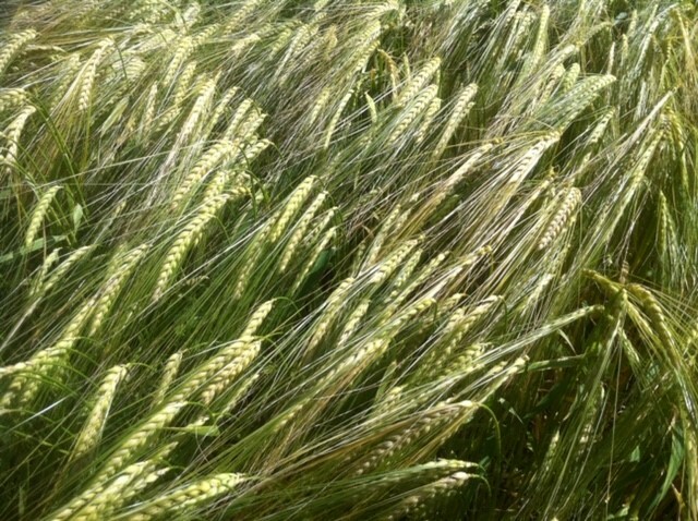 Bild 2 von 3