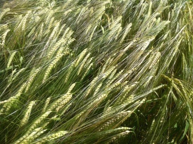 Bild 2 von 3