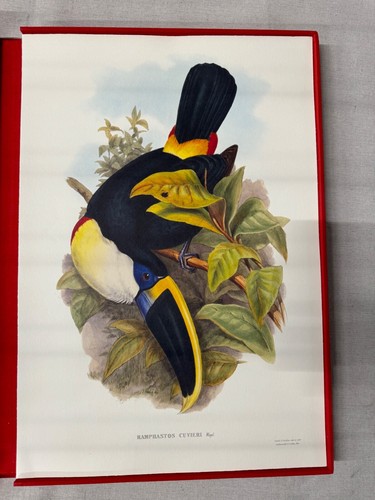 The Family of Toucans by John Gould w/ 51 Fine Art Prints THE COMPLETE PLATES - Picture 13 of 15