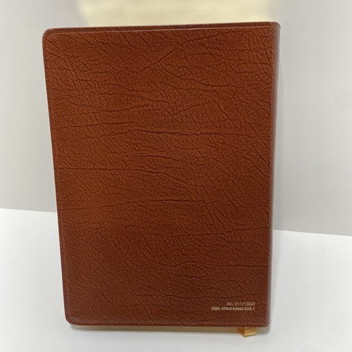 St Joseph Edition of the New American Bible Large Type Catholic Illustrated Tabs - Picture 4 of 8