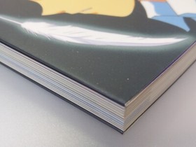 Neon Genesis Evangelion: Sega Saturn Perfect Guide   1997　　　　From Japan