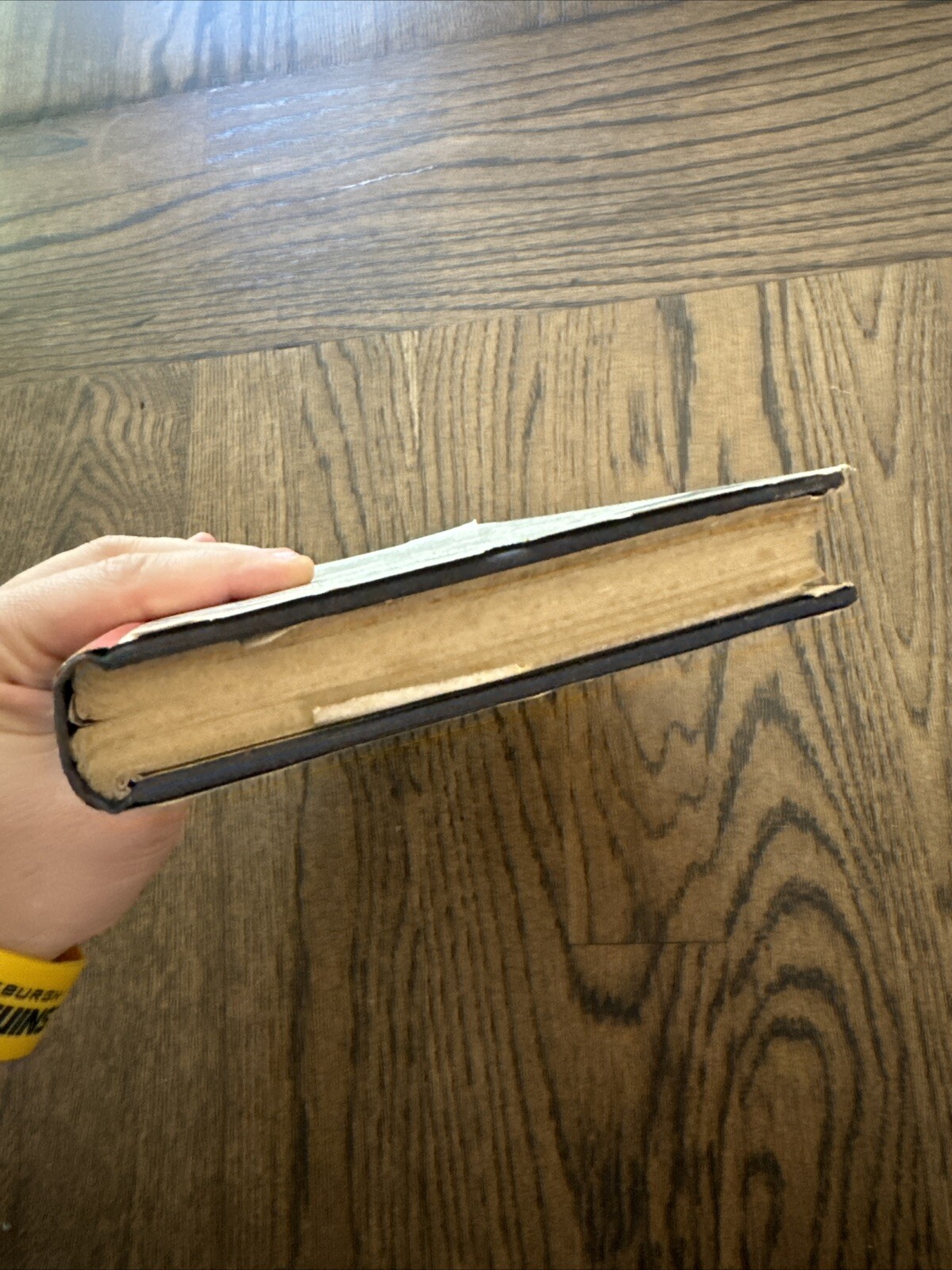 Picture 8 of 15