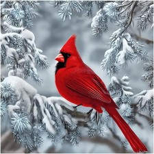 Stalente Diamond Painting Kits for Adults, Cardinal 30cm x 30cm, White, Red