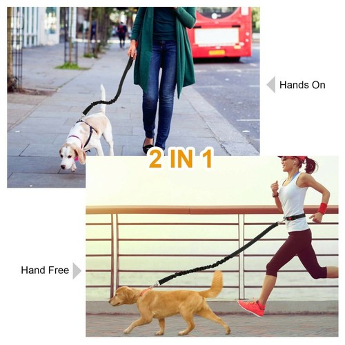 correas para perros de raza grande correa de perro resistente cinturón correa arnés elástico - Imagen 4 de 12